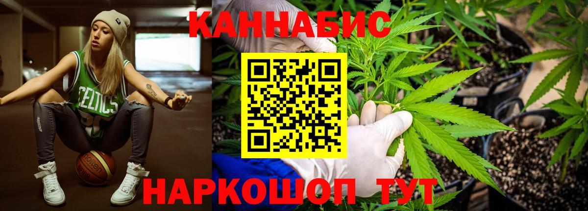 Шишки марихуана конопля  Марихуана планчик  Конопля VHQ  Вход с VPN  Муравленко  МАРИХУАНА семена 